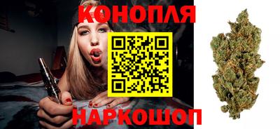шишки Тула